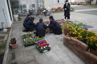 野村中学校（令和3年度）花と緑のボランティア1