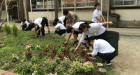 山直中学校（令和3年度）花いっぱいプロジェクト2