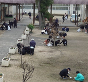 春木中学校（令和3年度）環境整備
