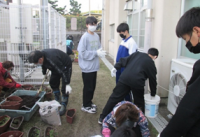 山滝中学校（令和3年度）花いっぱい山直南小学校1