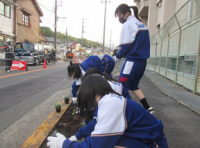 山滝中学校（令和3年度）花いっぱい山直南小学校2