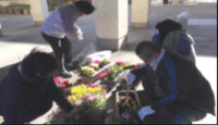 光陽中学校（平成29年度）花ボランティア