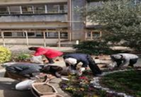 山直中学校（平成29年度）花いっぱいプロジェクト2