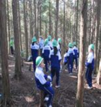 山滝中学校（平成29年度）学校林実習2