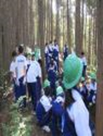 山滝中学校（平成29年度）学校林実習3