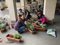 光陽中学校（平成30年度）花ボランティア2