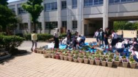 桜台中学校（平成30年度）校内花植え活動