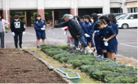 葛城中学校（平成30年度）花と緑のボランティア