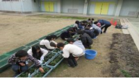山直中学校（平成30年度）花いっぱいプロジェクト4