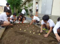 春木中学校（平成30年度）緑化活動