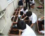 山滝中学校（平成30年度）花いっぱいプロジェクト1