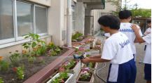 山滝中学校（平成30年度）花いっぱいプロジェクト3