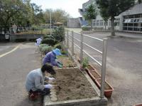 土生中学校（令和3年度）花いっぱいボランティア2