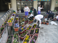野村中学校（平成28年度）花と緑のボランティア