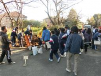 桜台中学校（平成28年度）花植え活動2