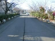 桜台中学校（平成28年度）花植え活動3