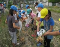 春木中学校（平成28年度）農業体験