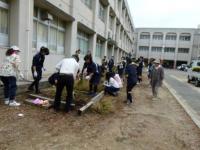 葛城中学校（平成26年度）花と緑ボランティア