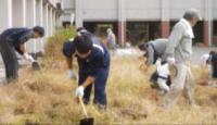 葛城中学校（平成27年度）花と緑のボランティア2