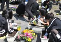 岸城中学校（平成26年度）学校応援団1