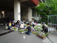 光陽中学校（平成27年度）花ボランティア