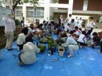 桜台中学校（平成26年度）花の植え替えボランティア