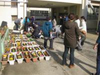 桜台中学校（平成27年度）花の苗植え活動2