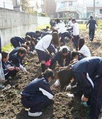 山直中学校（平成26年度）園芸活動