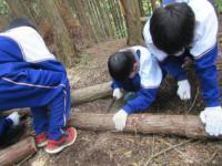 山滝中学校（平成26年度）学校林実習