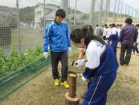山滝中学校（平成27年度）環境整備活動1