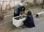 花いっぱい運動のようす2