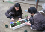 園芸活動のようす