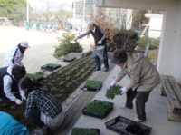花と緑のボランティアによる花壇の花植えのようす