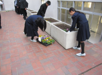 25年度の花いっぱいプロジェクトのようす