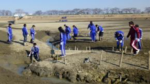 25年度の久米田池くr-ンアップ大作戦のようす