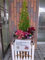 飾られたクリスマスツリー