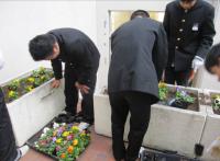 生徒会役員・専門委員・ボランティア・教職員で花の苗を植えるようす