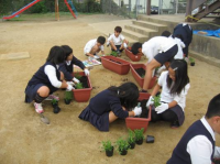 花いっぱい運動で活動する児童・生徒のようす