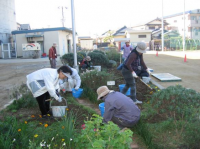 花いっぱい運動で活動する地域の方のようす