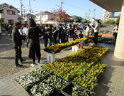 令和3年度 まちかど学級園1