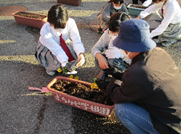 令和3年度 まちかど学級園2