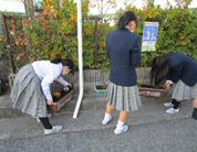 令和3年度 まちかど学級園3