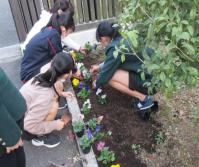 令和2年度 季節の花の贈り物