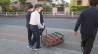 令和2年度 まちかど学級園3