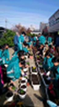 まちかど学級園