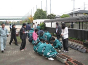 ビオラの苗を育苗ケースからプランターへ植え替えます