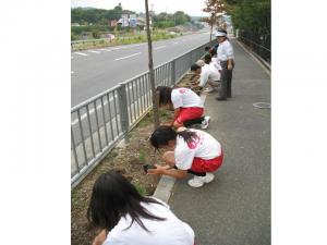 種まきなどの作業の様子