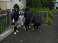 町別清掃活動の様子