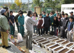 まちかど学級園でのプランターへの植え替えの様子