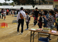 フェスタ2